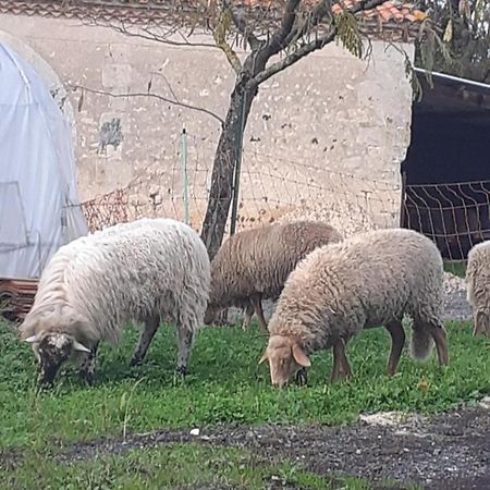 Maison De Campagne A La Ferme Pillac ภายนอก รูปภาพ