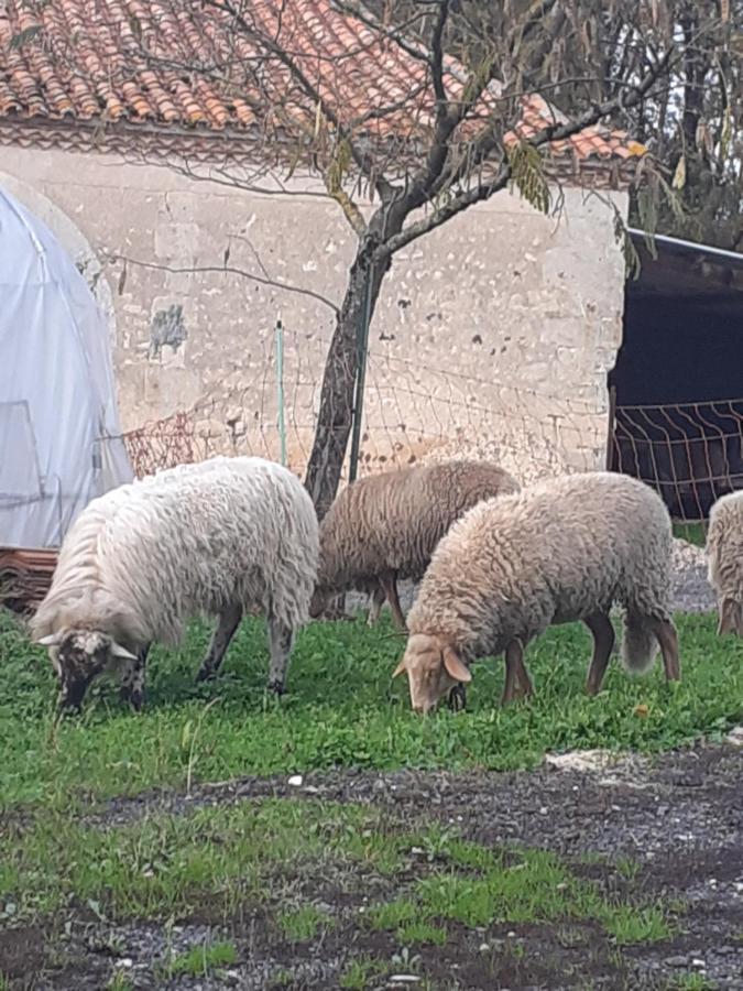 Maison De Campagne A La Ferme Pillac ภายนอก รูปภาพ